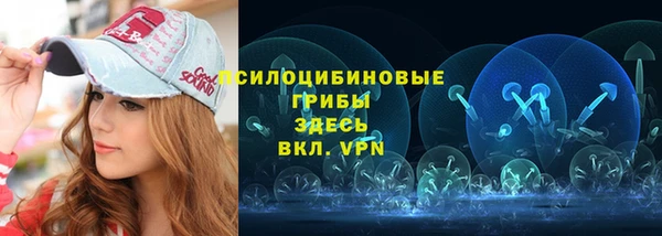 альфа пвп Гусь-Хрустальный