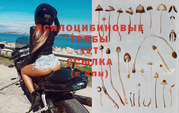 герыч Гусев