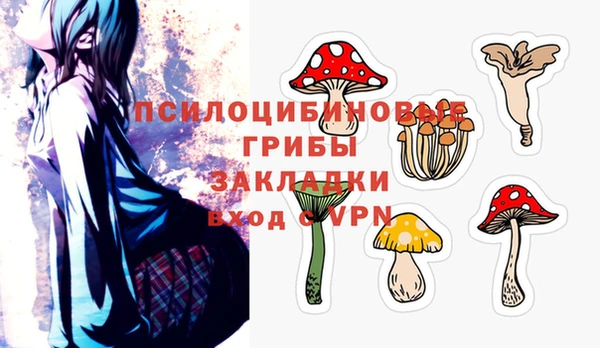 СК Гусиноозёрск