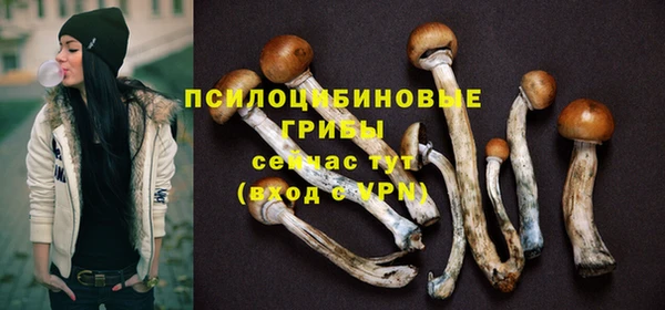 СК Гусиноозёрск