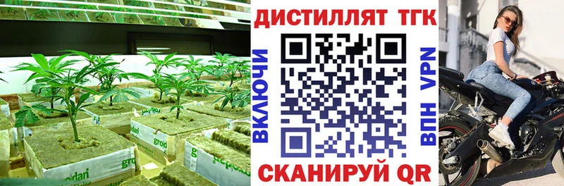 Купить где  Западная Двина  Дистиллят ТГК Wax 